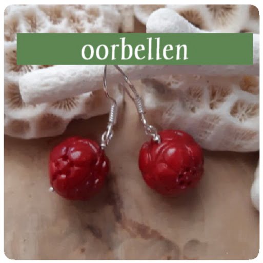 Oorbellen product foto