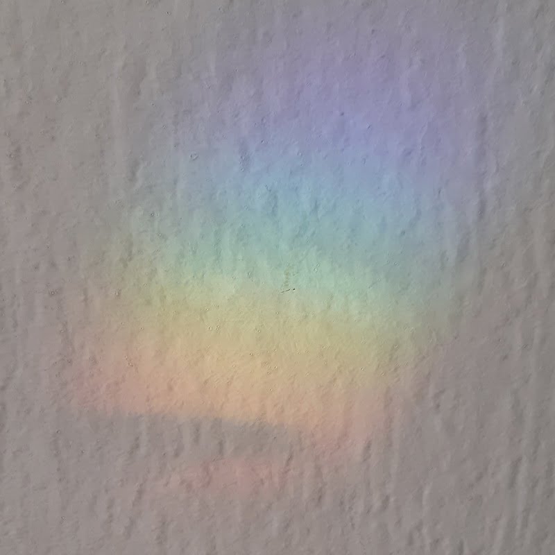 regenboogjes op de muur