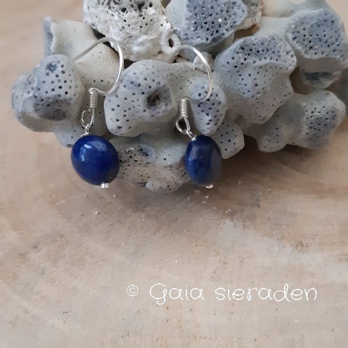 lapis lazuli oorbellen plat