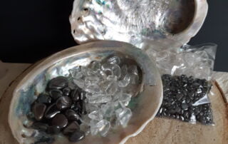 Abalone reiniging en oplaadset