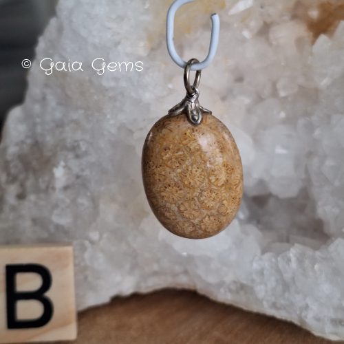 Koraal fossiel edelsteen hangertje