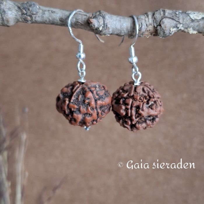 Rudraksha oorbellen