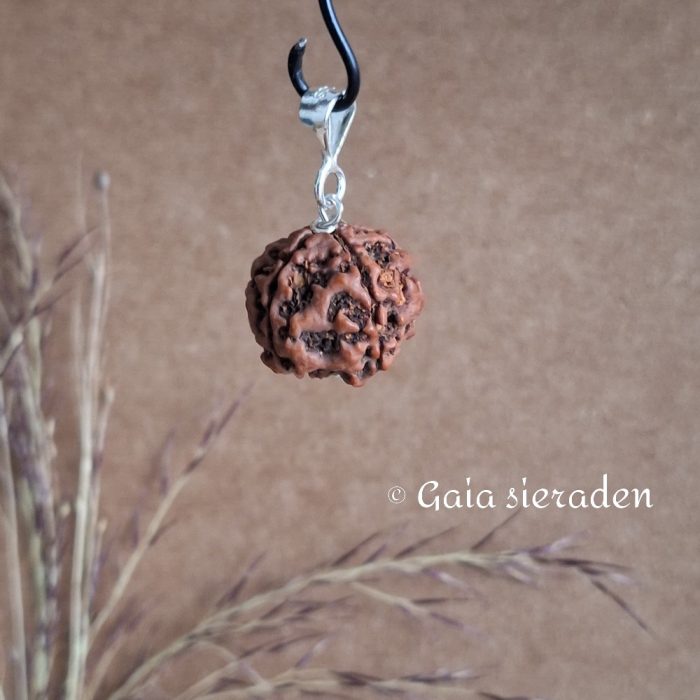 Rudraksha zilveren hanger - Afbeelding 4