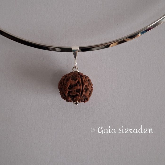 Rudraksha zilveren hanger