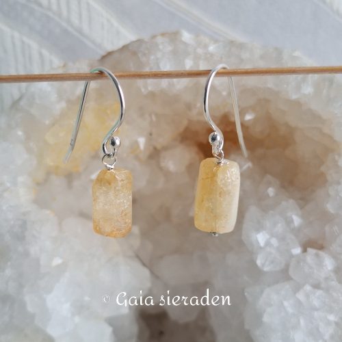 2591 oor Citrien brok 2