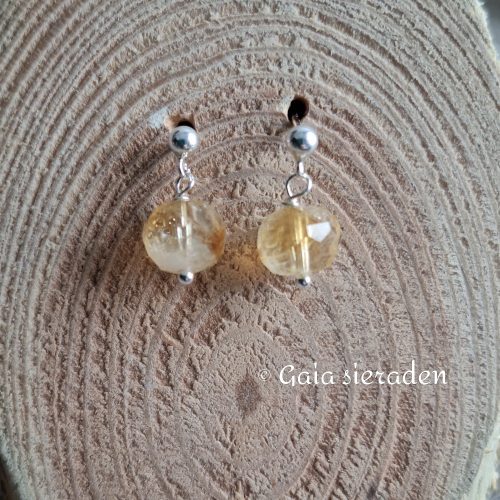 2596 stek Citrien facetbol 1