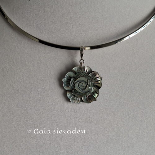 2 2554 ha Parelmoer bloem 2