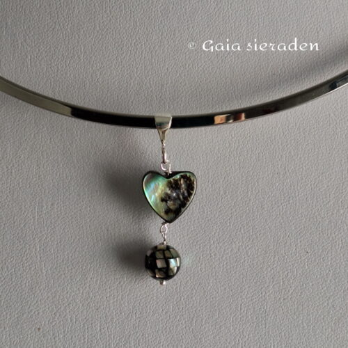 2 2555 ha Abalone hartje met bol 2