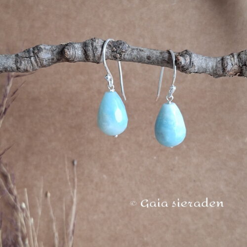 2 2569 oor Amazoniet druppel 1