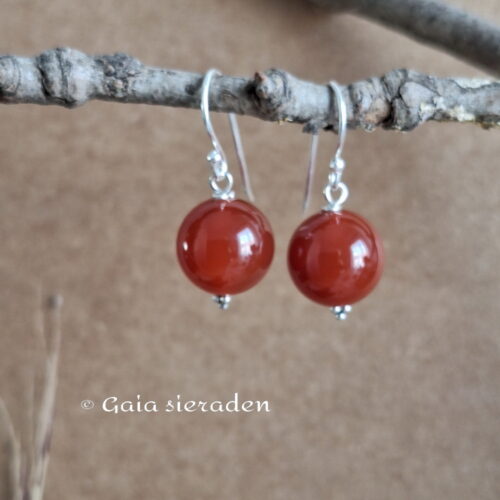 Oorbellen Carneool bol