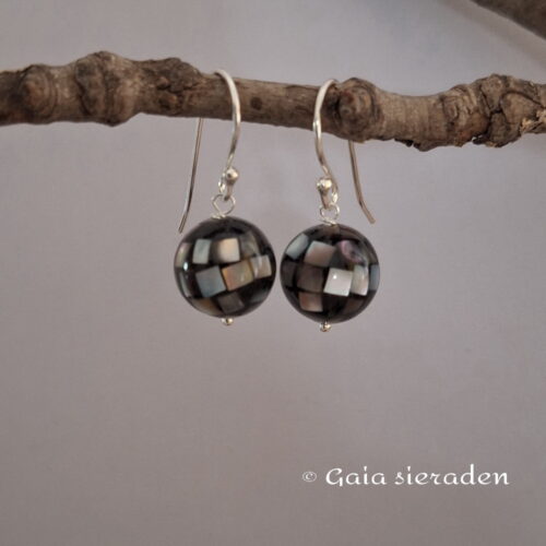 2 2590 oor Abalone bol 10 mm 1