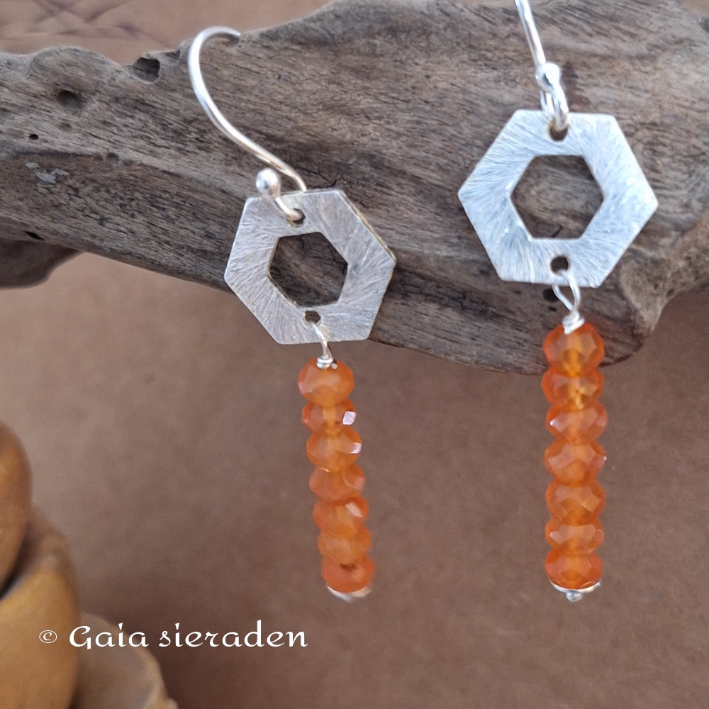 Oorbellen Carneool staafje