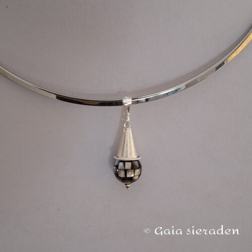 2 2593 ha Abalone bol hoedje 5