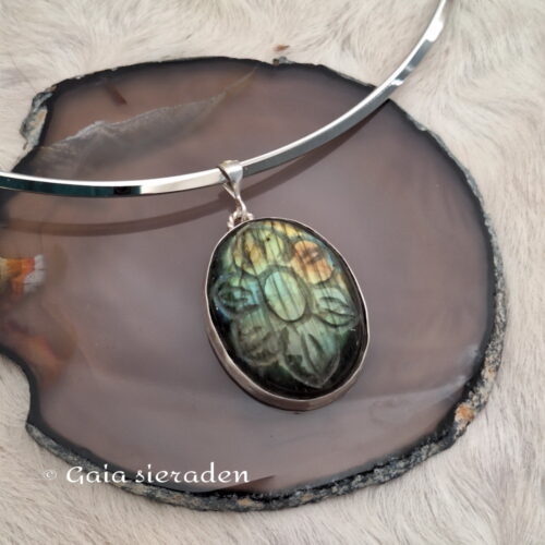 2 2587 ha Labradoriet bloem 6.jpg7