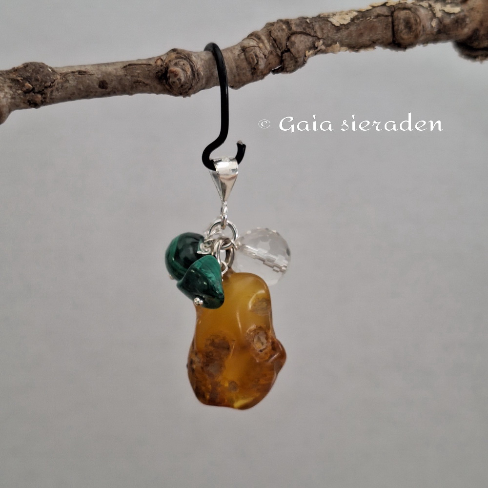 Barnsteen troshanger Spieren en gewrichten - Afbeelding 2