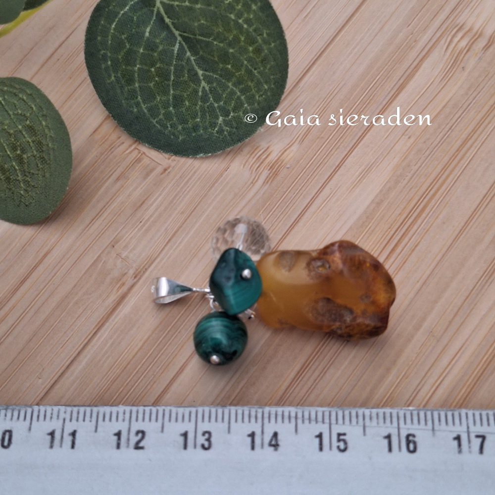 Barnsteen troshanger Spieren en gewrichten - Afbeelding 3