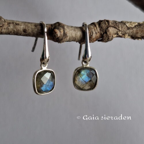 3 2515 oor Labradoriet vierkantje 1