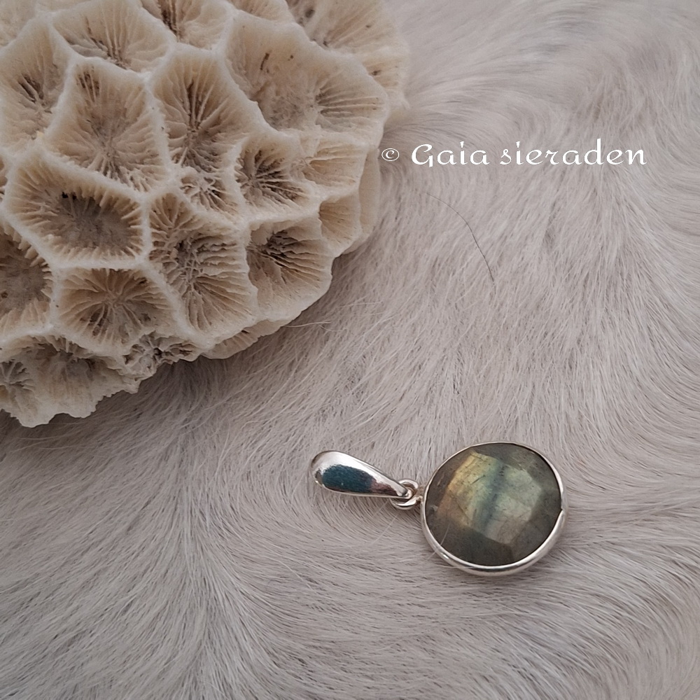 Labradoriet hanger briolette rond