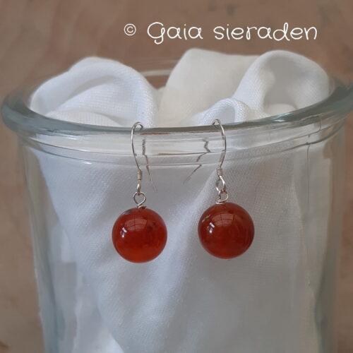 Oorbellen Carneool bol