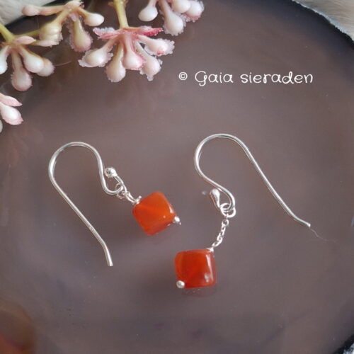 Carneool oorbellen blokje