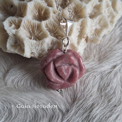 Rhodoniet hanger roos