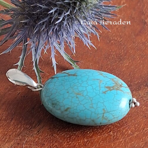 Hanger turquoise Howliet ovaal