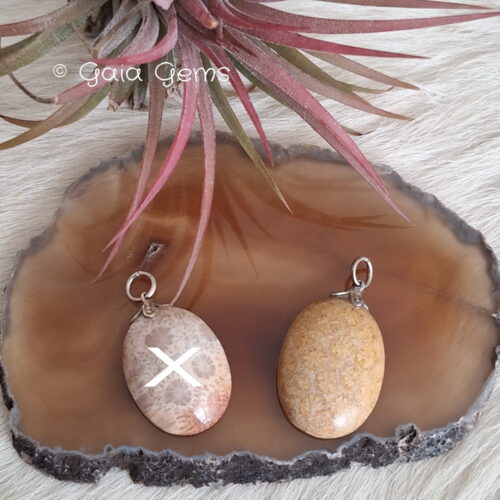 Koraal fossiel edelsteen hangertje