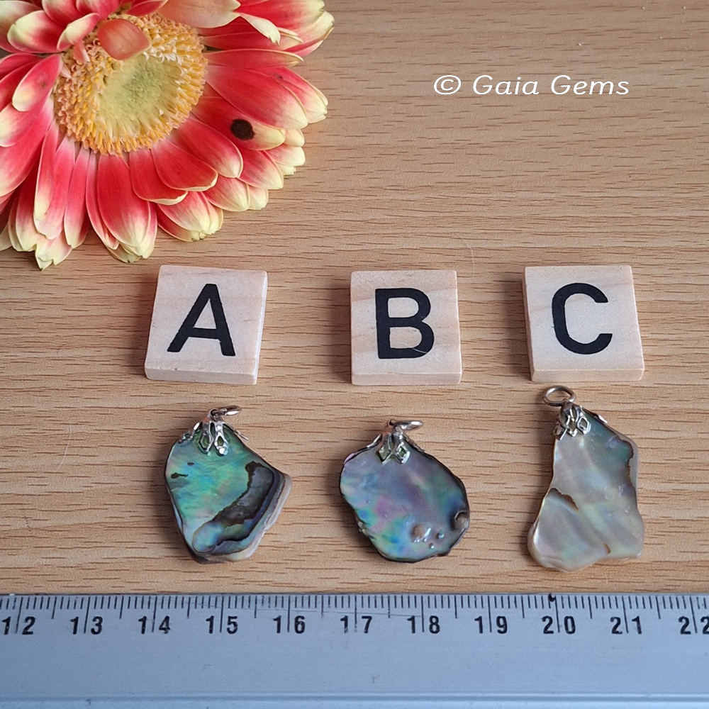 Edelsteen hangertje Abalone