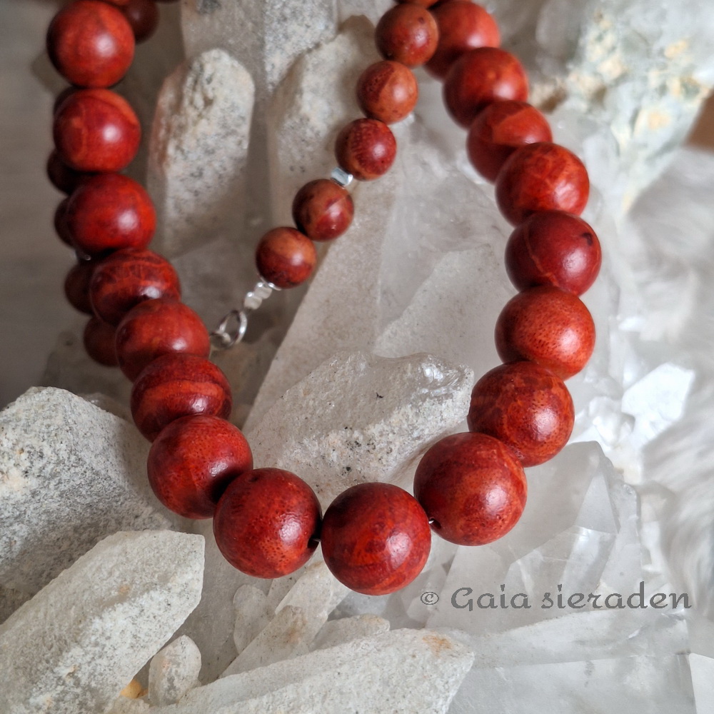 Ketting spons Koraal