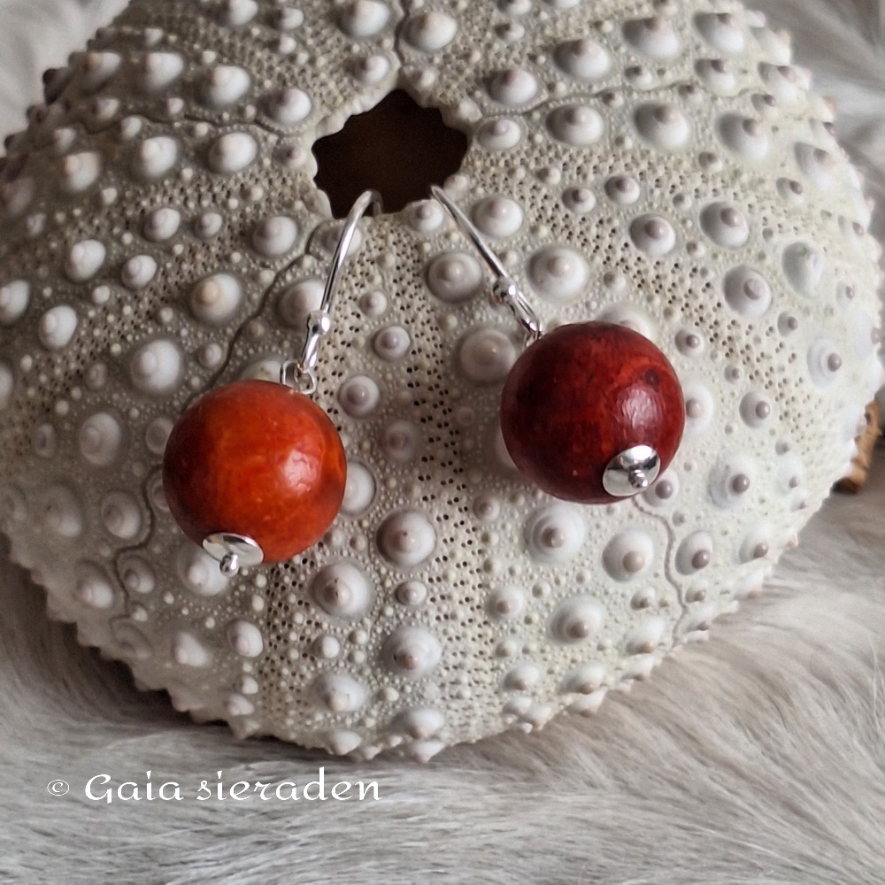 Spons Koraal oorbellen bol