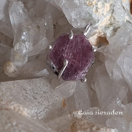 Robijn hanger ruw rond