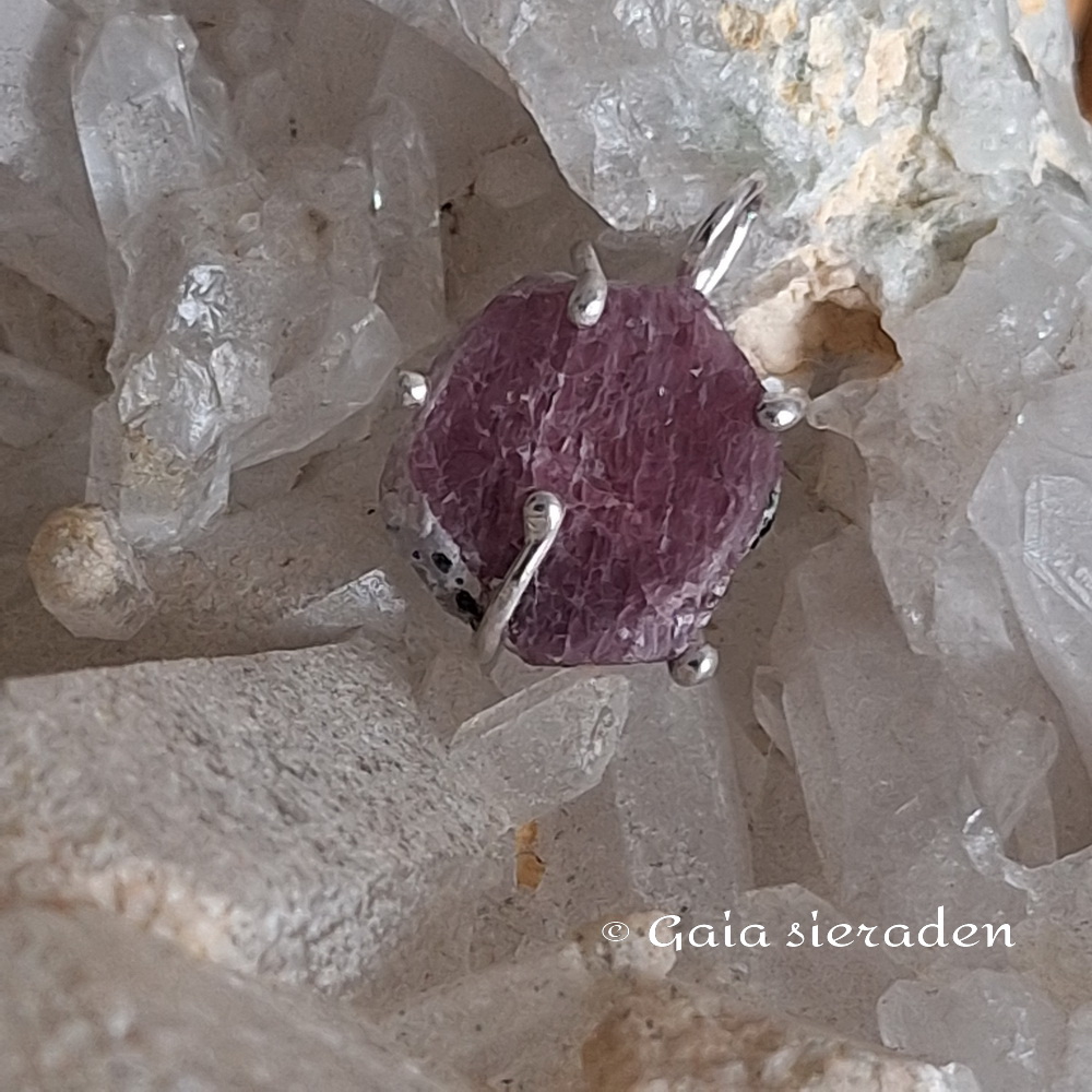 Robijn hanger ruw rond