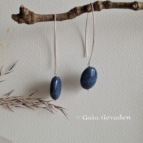 Dumortiriet ovale oorhaak