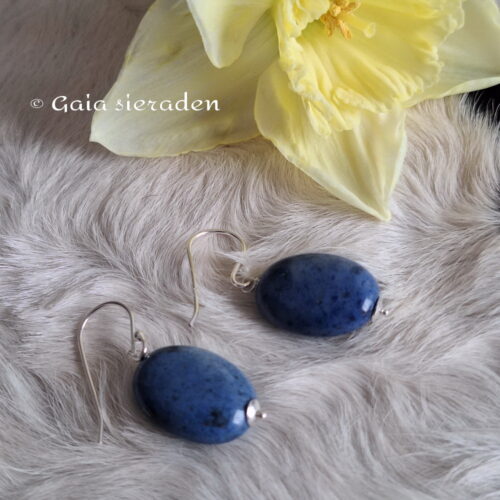 Dumortiriet oorbellen