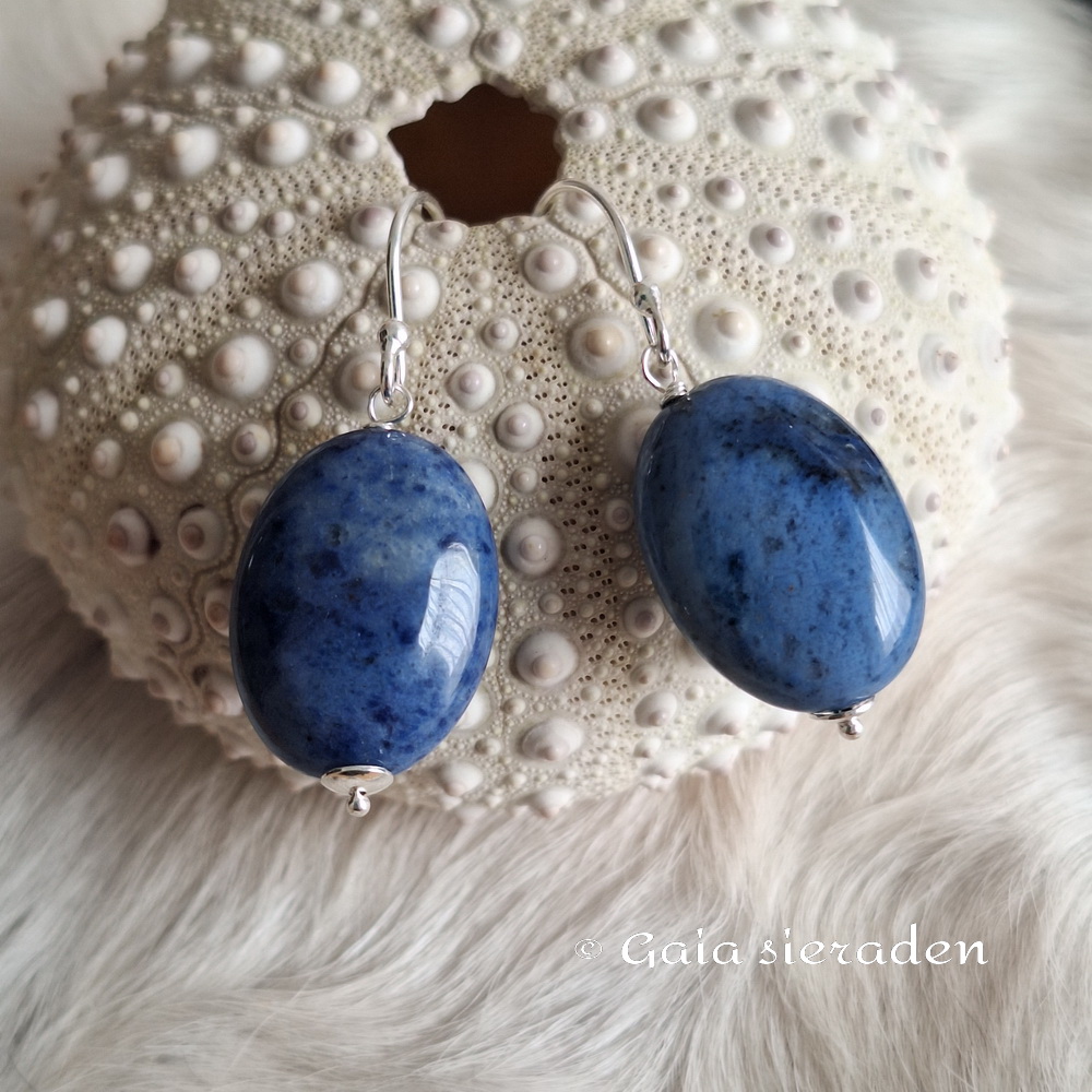 Dumortiriet oorbellen