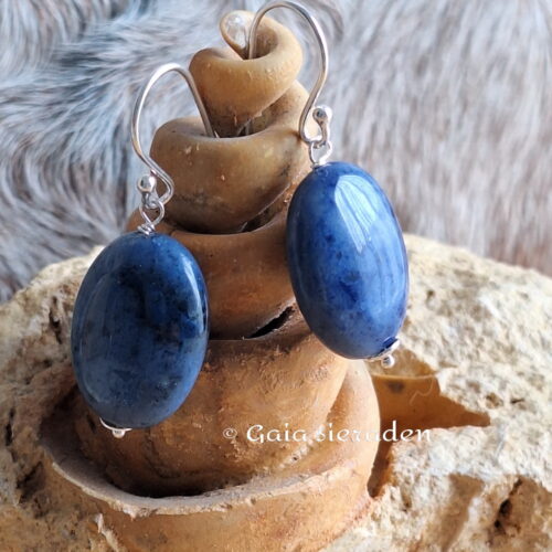 Dumortiriet oorbellen