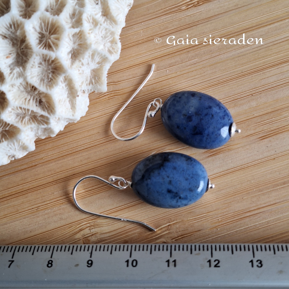 Dumortiriet oorbellen