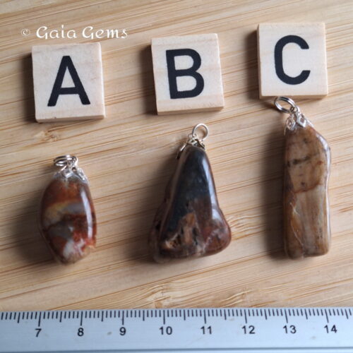 Versteend hout edelsteen hangertje