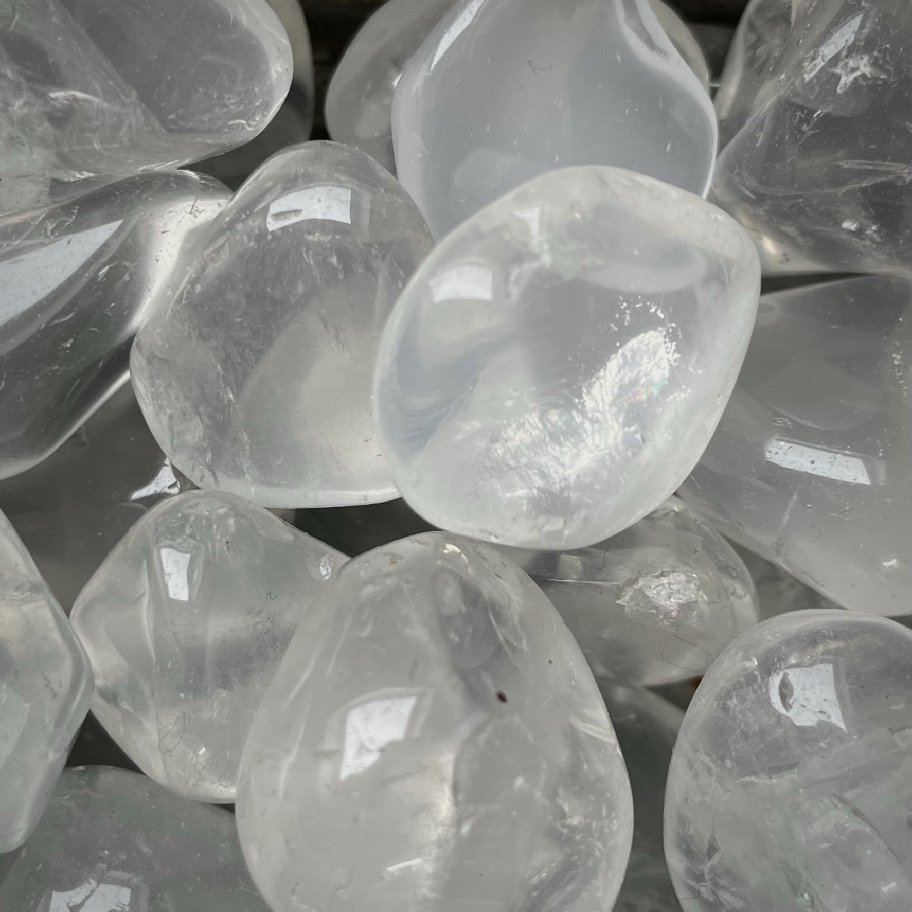 Girasol ruw trommel Girasol